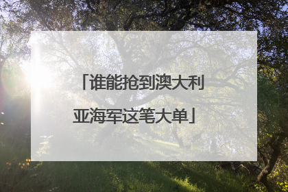 谁能抢到澳大利亚海军这笔大单