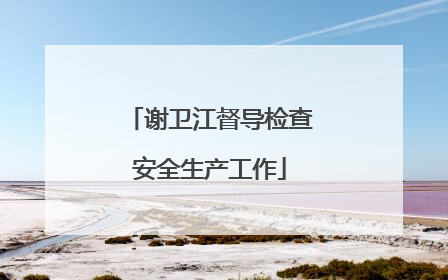 谢卫江督导检查安全生产工作