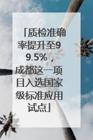 质检准确率提升至99.5%，成都这一项目入选国家级标准应用试点