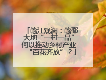 赣江观澜：赣鄱大地“一村一品”何以推动乡村产业“百花齐放”？