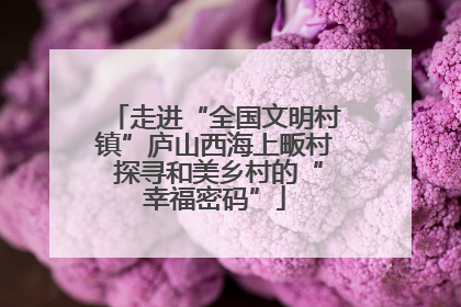 走进“全国文明村镇”庐山西海上畈村 探寻和美乡村的“幸福密码”