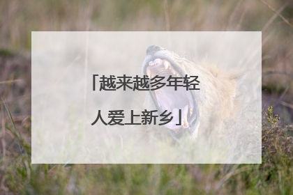 越来越多年轻人爱上新乡