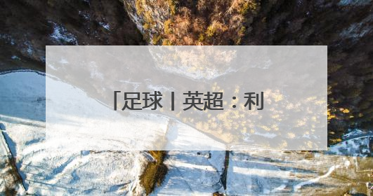 足球丨英超：利物浦庆祝夺冠