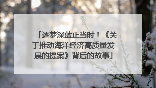 逐梦深蓝正当时！《关于推动海洋经济高质量发展的提案》背后的故事