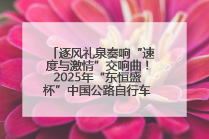 逐风礼泉奏响“速度与激情”交响曲！2025年“东恒盛杯”中国公路自行车联赛第五站（陕西·礼泉站）正式开赛