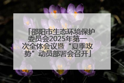 邵阳市生态环境保护委员会2025年第一次全体会议暨“夏季攻势”动员部署会召开