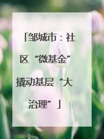 邹城市：社区“微基金”撬动基层“大治理”