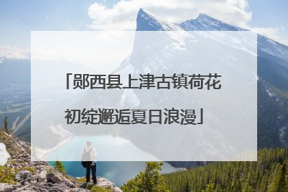 郧西县上津古镇荷花初绽邂逅夏日浪漫