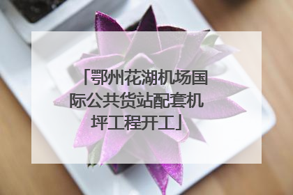 鄂州花湖机场国际公共货站配套机坪工程开工