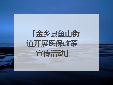 金乡县鱼山街道开展医保政策宣传活动