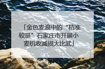 金色麦浪中的“精准较量”石家庄市开展小麦机收减损大比武