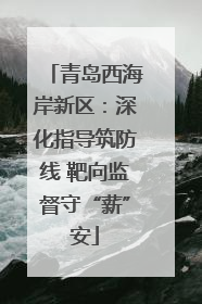 青岛西海岸新区：深化指导筑防线 靶向监督守“薪”安