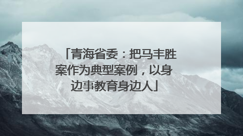青海省委：把马丰胜案作为典型案例，以身边事教育身边人