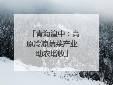 青海湟中：高原冷凉蔬菜产业助农增收