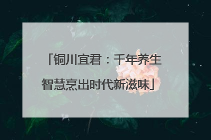 铜川宜君：千年养生智慧烹出时代新滋味