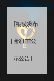 铜陵发布干部任前公示公告