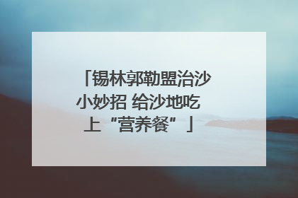 锡林郭勒盟治沙小妙招 给沙地吃上“营养餐”