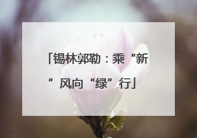 锡林郭勒：乘“新”风向“绿”行