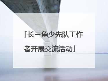 长三角少先队工作者开展交流活动