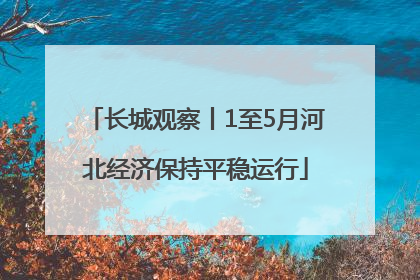 长城观察丨1至5月河北经济保持平稳运行