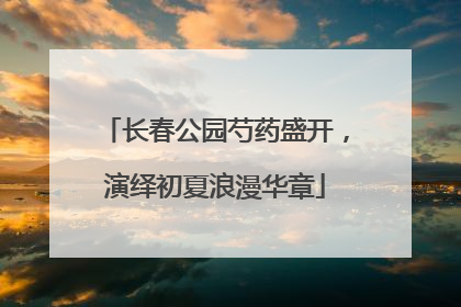 长春公园芍药盛开，演绎初夏浪漫华章