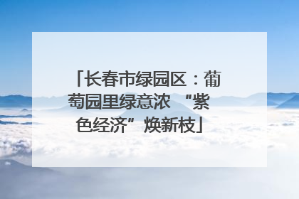 长春市绿园区：葡萄园里绿意浓 “紫色经济”焕新枝