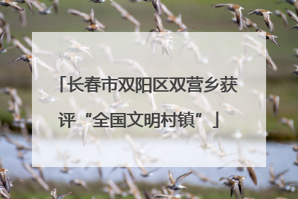 长春市双阳区双营乡获评“全国文明村镇”