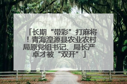 长期“带彩”打麻将！青海湟源县农业农村局原党组书记、局长严卓才被“双开”