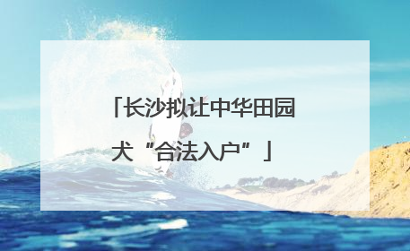 长沙拟让中华田园犬“合法入户”
