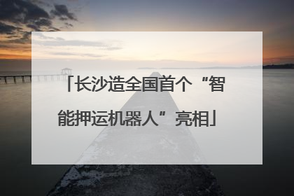 长沙造全国首个“智能押运机器人”亮相