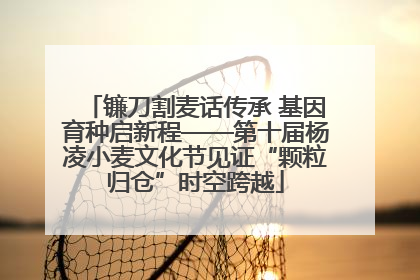 镰刀割麦话传承 基因育种启新程——第十届杨凌小麦文化节见证“颗粒归仓”时空跨越