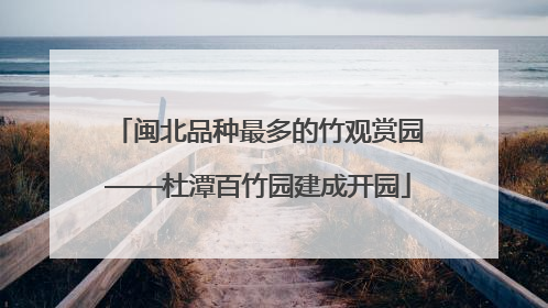 闽北品种最多的竹观赏园——杜潭百竹园建成开园