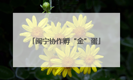 闽宁协作孵“金”蛋