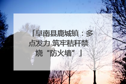 阜南县鹿城镇：多点发力 筑牢秸秆禁烧“防火墙”