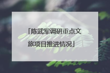 陈武军调研重点文旅项目推进情况