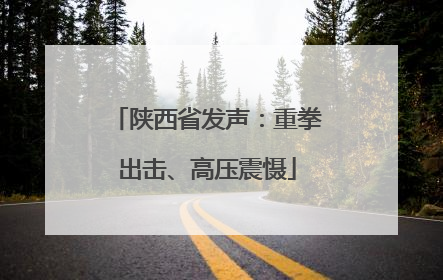 陕西省发声：重拳出击、高压震慑