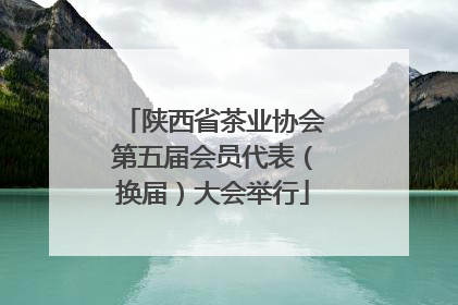陕西省茶业协会第五届会员代表（换届）大会举行