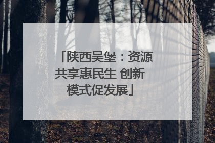 陕西吴堡：资源共享惠民生 创新模式促发展
