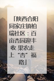 陕西合阳同家庄镇柏瑞社区：百亩杏园迎丰收 果农走上“杏”福路