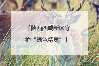 陕西西咸新区守护“绿色精灵”