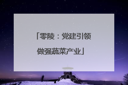 零陵：党建引领 做强蔬菜产业