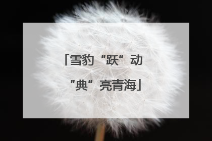 雪豹“跃”动 “典”亮青海