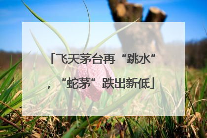 飞天茅台再“跳水”，“蛇茅”跌出新低