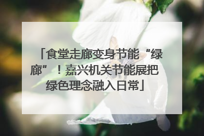 食堂走廊变身节能“绿廊”！嘉兴机关节能展把绿色理念融入日常
