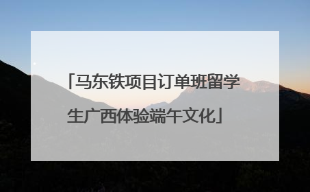 马东铁项目订单班留学生广西体验端午文化
