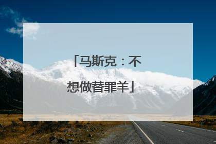 马斯克：不想做替罪羊