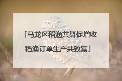 马龙区稻渔共舞促增收 稻渔订单生产共致富