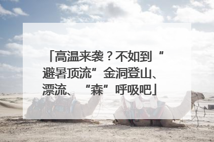 高温来袭？不如到“避暑顶流”金洞登山、漂流、“森”呼吸吧