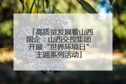 高质量发展看山西国企：山西交控集团开展“世界环境日”主题系列活动