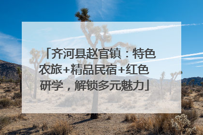 齐河县赵官镇：特色农旅+精品民宿+红色研学，解锁多元魅力